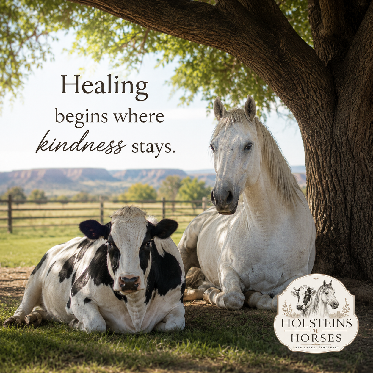 Words from the Sanctuary 04