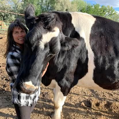 A sanctuary rescue resident