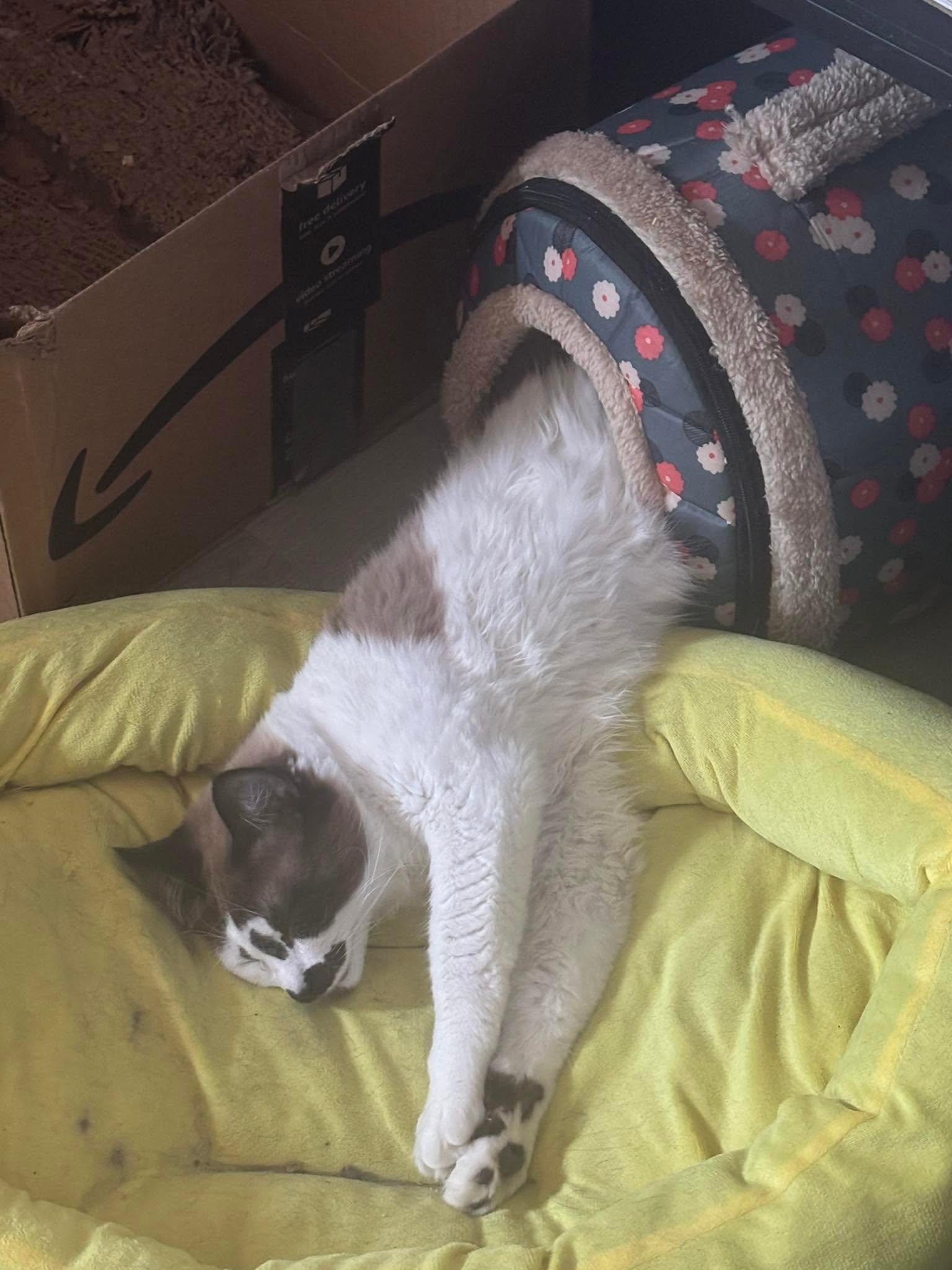 Sanctuary Moment 24